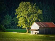 Construire sa maison en bois en kit soi-même