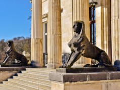 Comment travailler dans l’immobilier de luxe ?