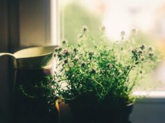 Rénovation et décoration intérieure : les meilleures astuces pour une déco de rêve